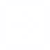 logo main
